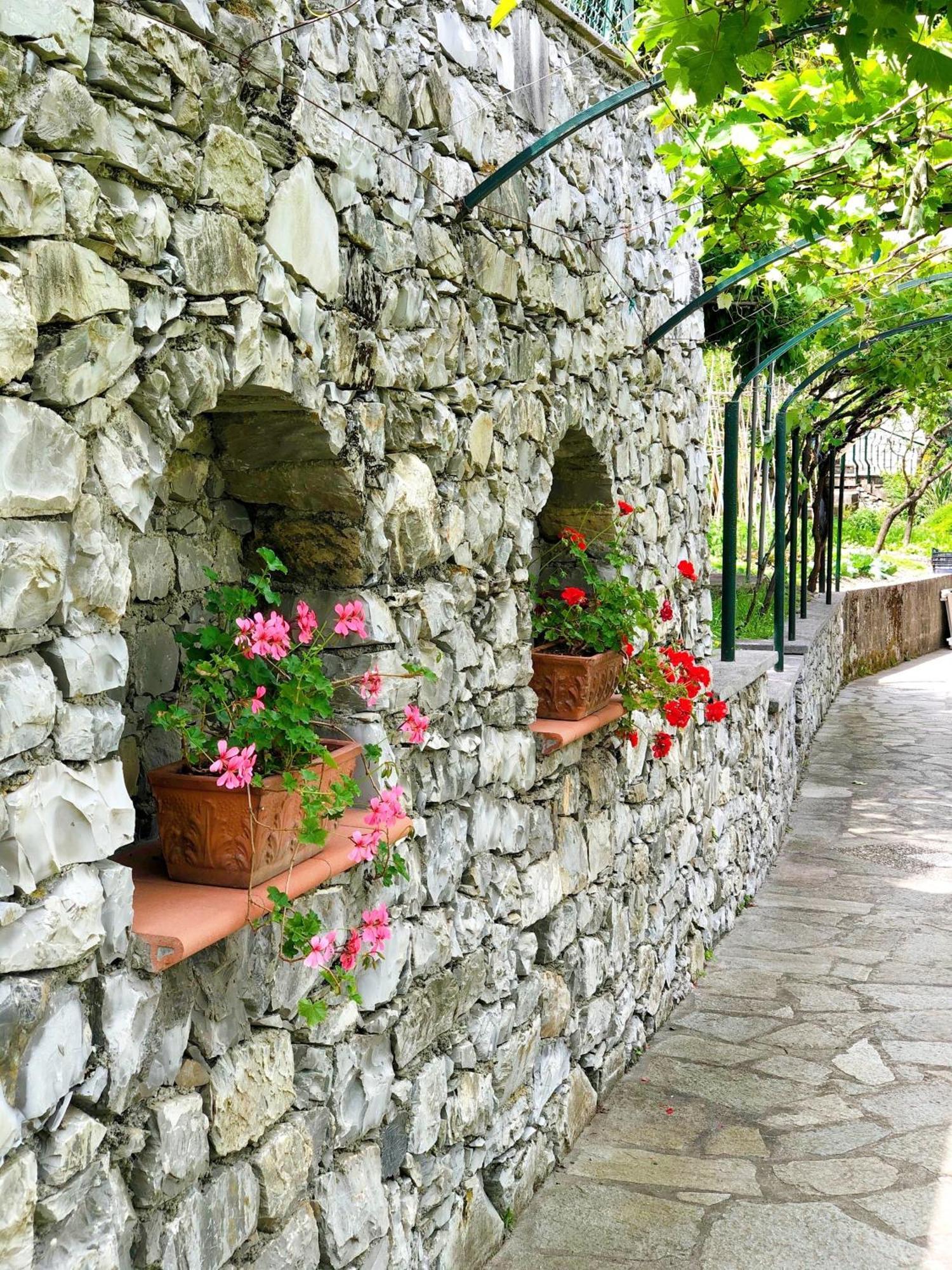 Hotel Villa Edera & La Torretta Moneglia Luaran gambar